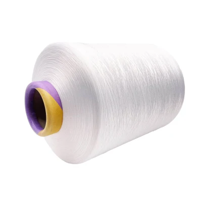 PBT DTY Corespun and Fabric Raw White and Dope Dyeing Polyester Yarn