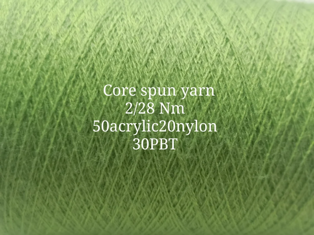 Acrylic Nylon PBT Core Spun Apn Yarn for Knitting