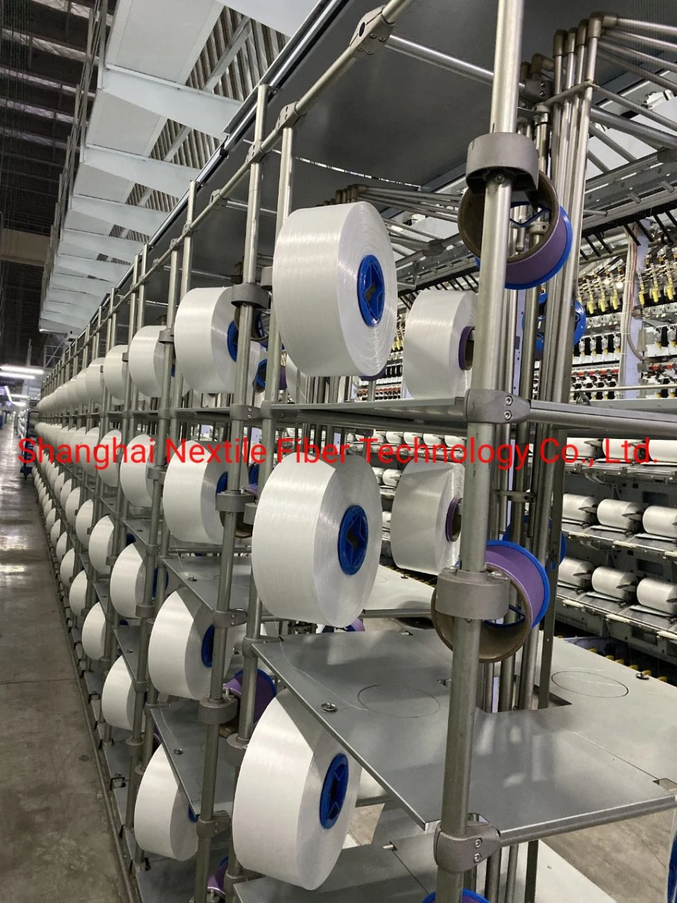Stretch Material PBT in FDY POY and DTY Polyester Yarn