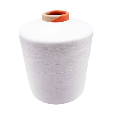 PBT DTY Elastic Filament Core Spun and Fabric End Use Raw White and Dope Dyeing Polyester