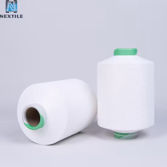 Imitation Memory PBT Yarn 75D for Knitting